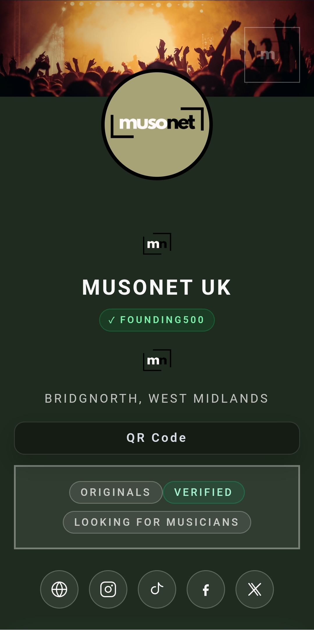 Example MusoNet profile (EPK-style)